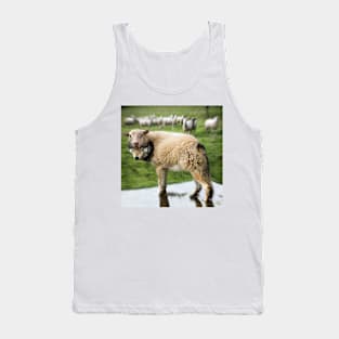 The Flock Is Safe Tank Top